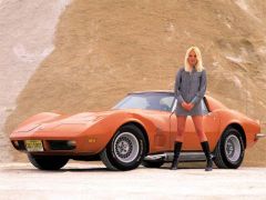 15 1973 Chevrolet Corvette