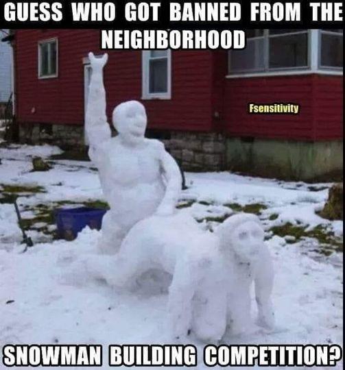 snowman.jpg.9c27d21cd6c2e67b34496c3dcc321370.jpg