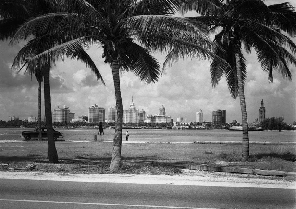 Miami-Skyline.thumb.jpg.82a05bef0173d144e7a313bbe4569eab.jpg