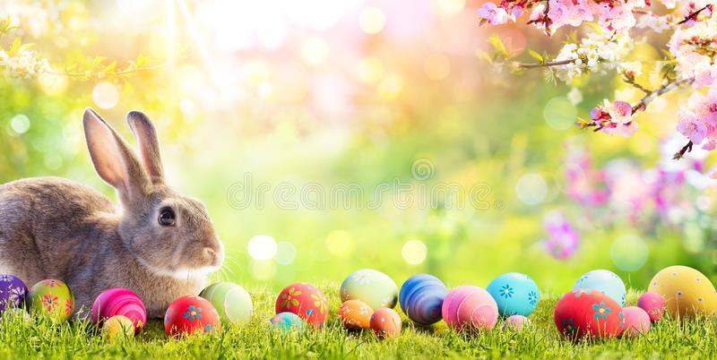 adorable-bunny-easter-eggs-flowery-meadow-140819863.jpg.830aa3ce46b0a78a0a8ad3f8789c1999.jpg